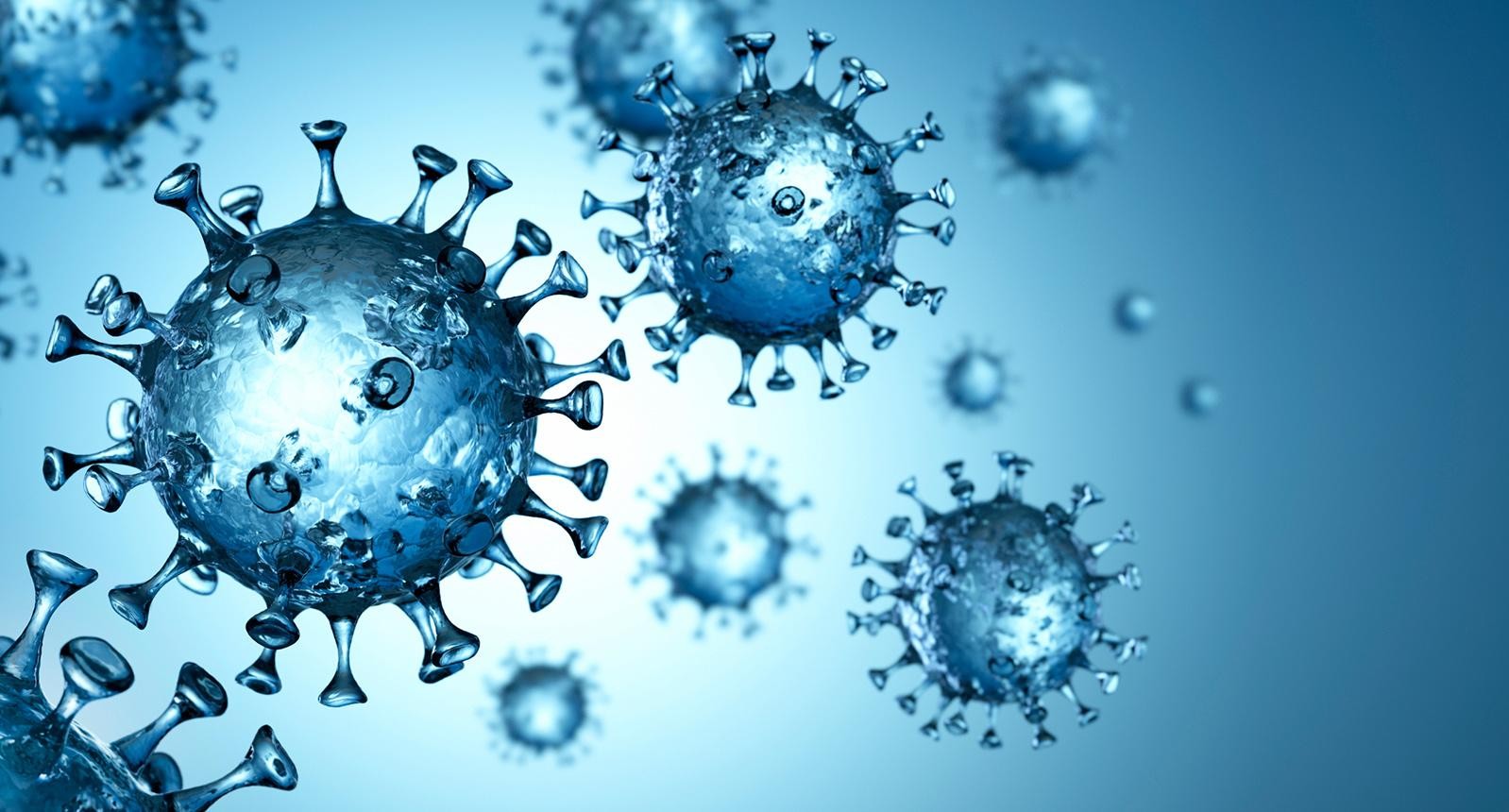 Corona Virus