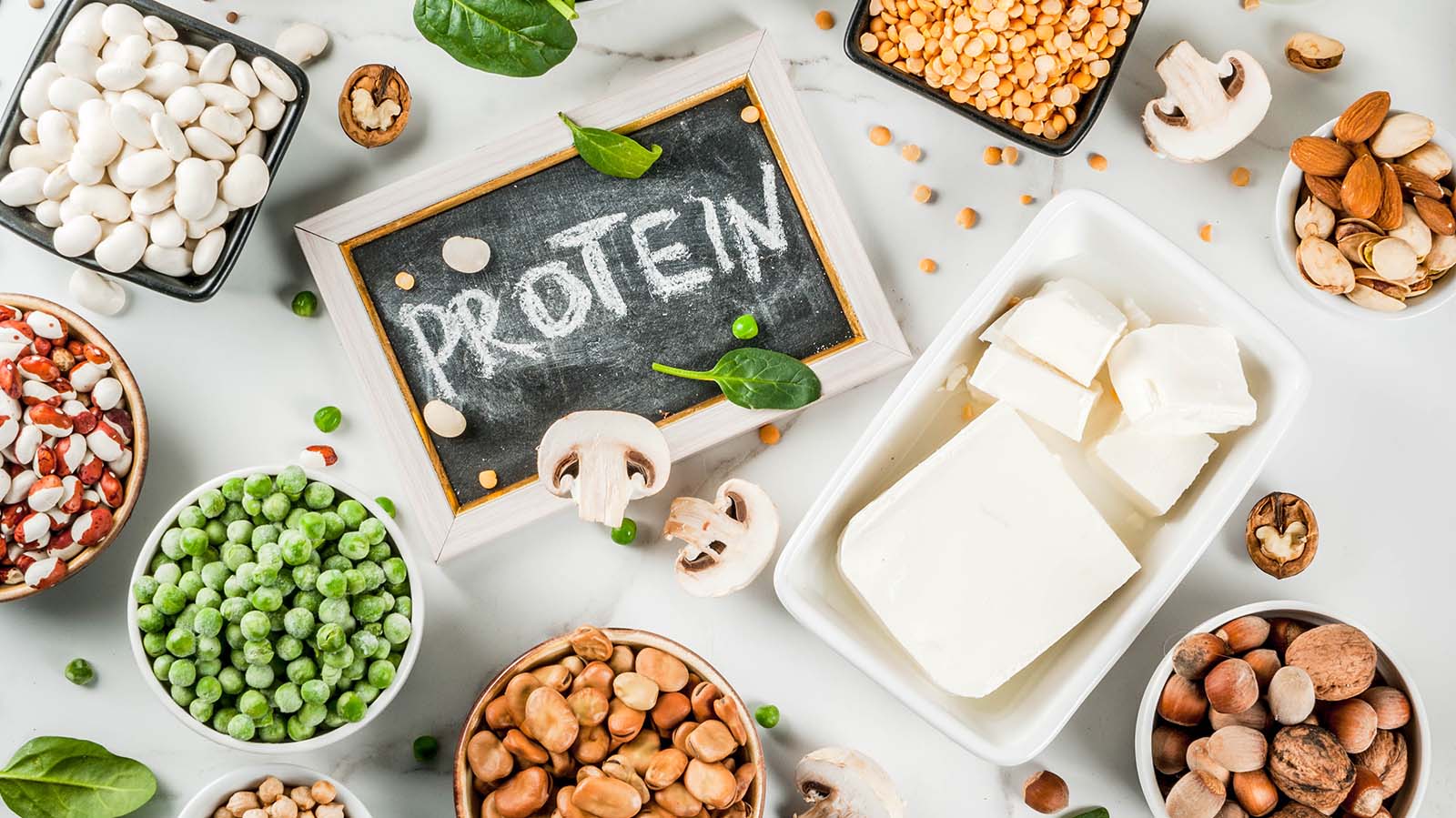 Tasty Protein Alternatives