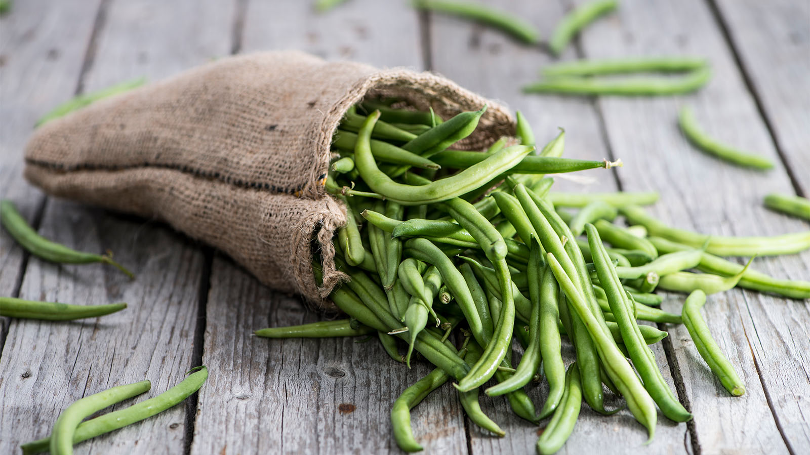 Recipe_Side_GreenBeanCasserole