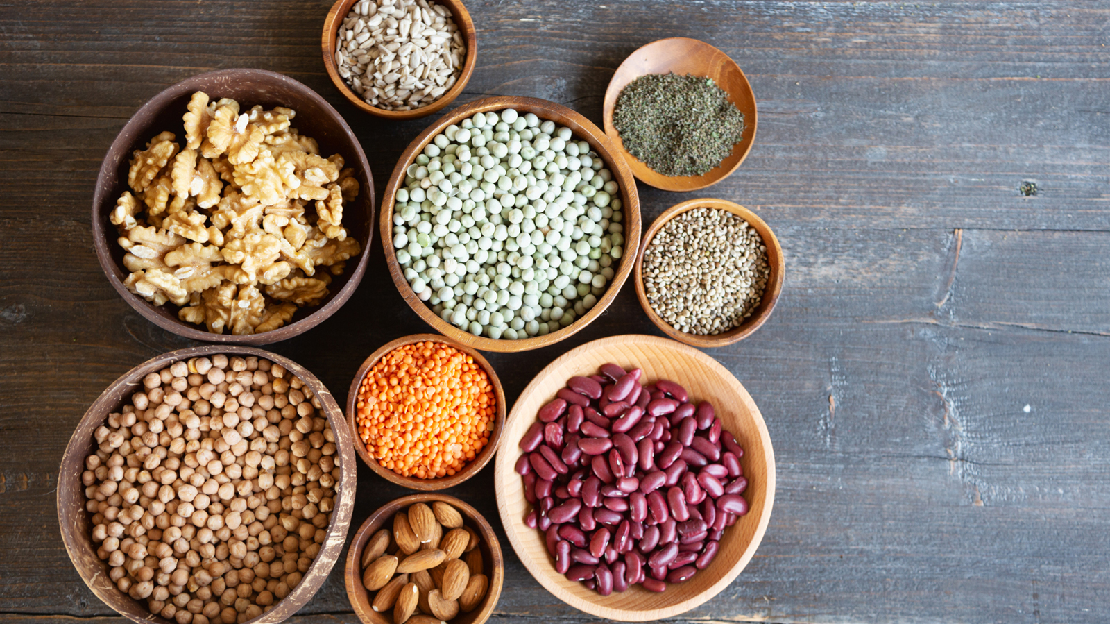 Adding Plant-Based Proteins to Your Diet