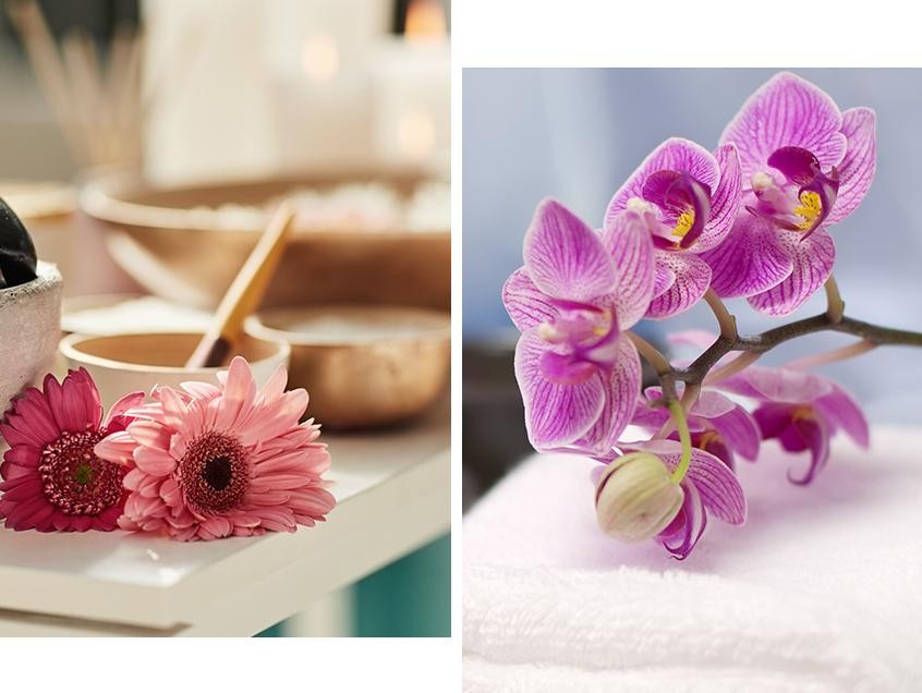 Spa Specials; Images of flowers from a pa