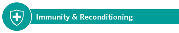 Icon of a medical shield for immunity and reconditioning