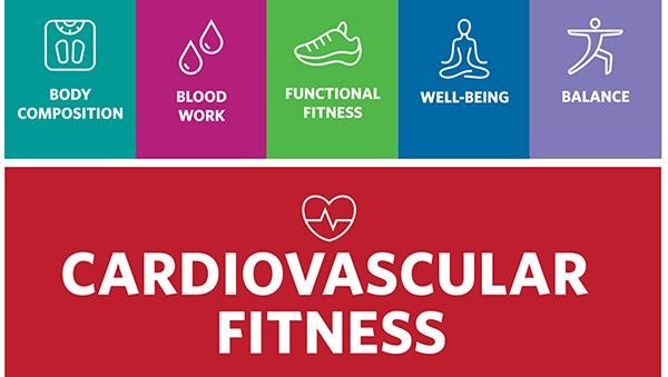 Cardiovascular fitness