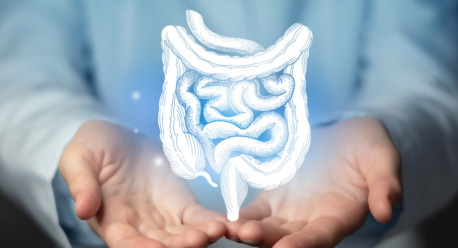 Illustration of intestines with hands in background