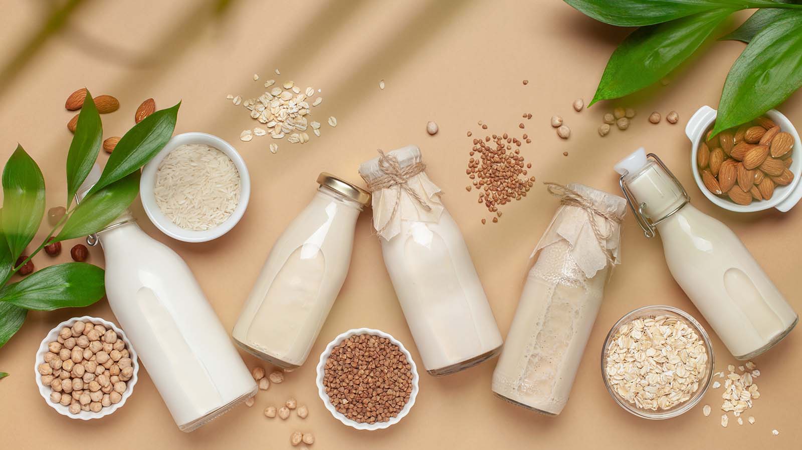 Milk and Dairy Alternatives