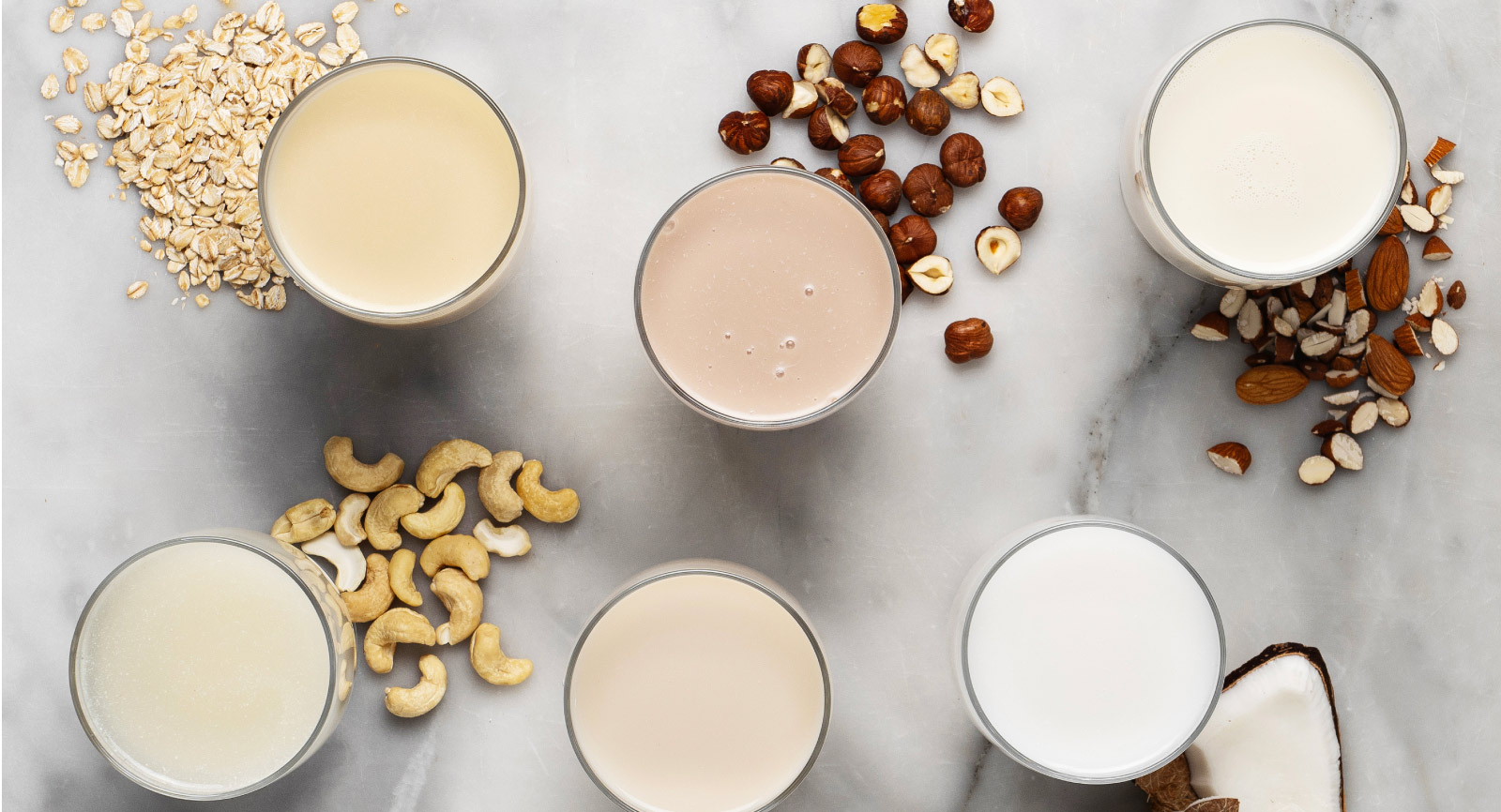 Milk and Dairy Alternatives