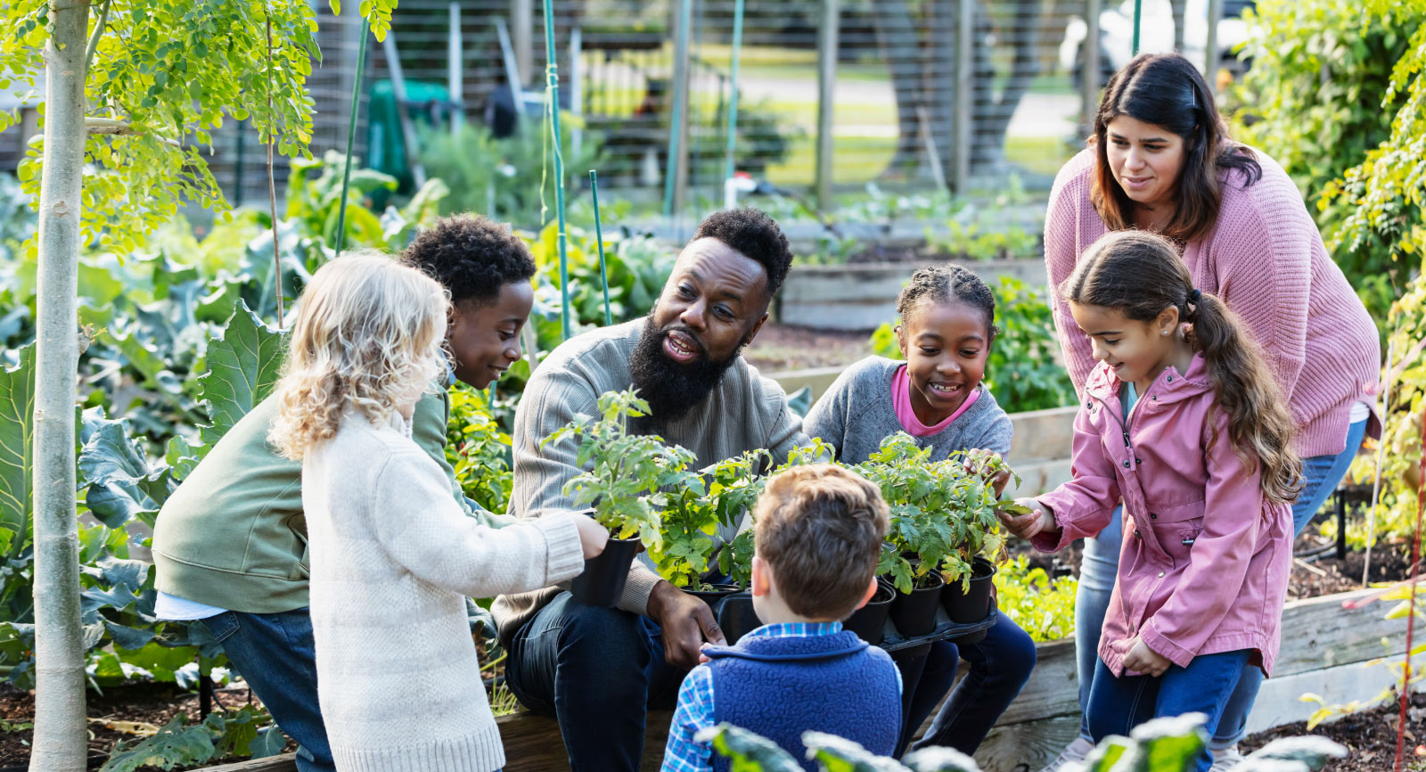 Man teaching children how to garden