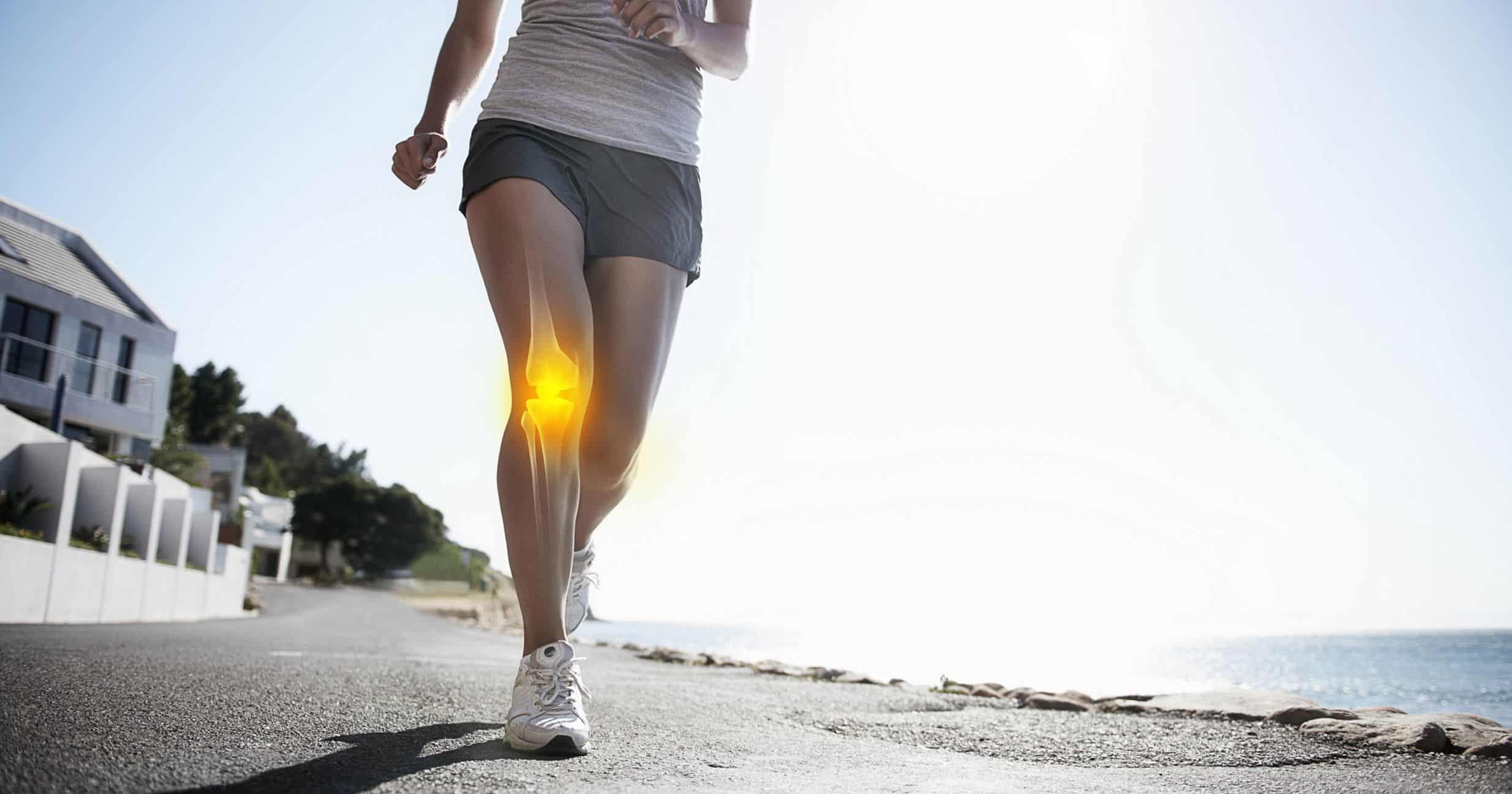 The Best Supplements for Joint Health