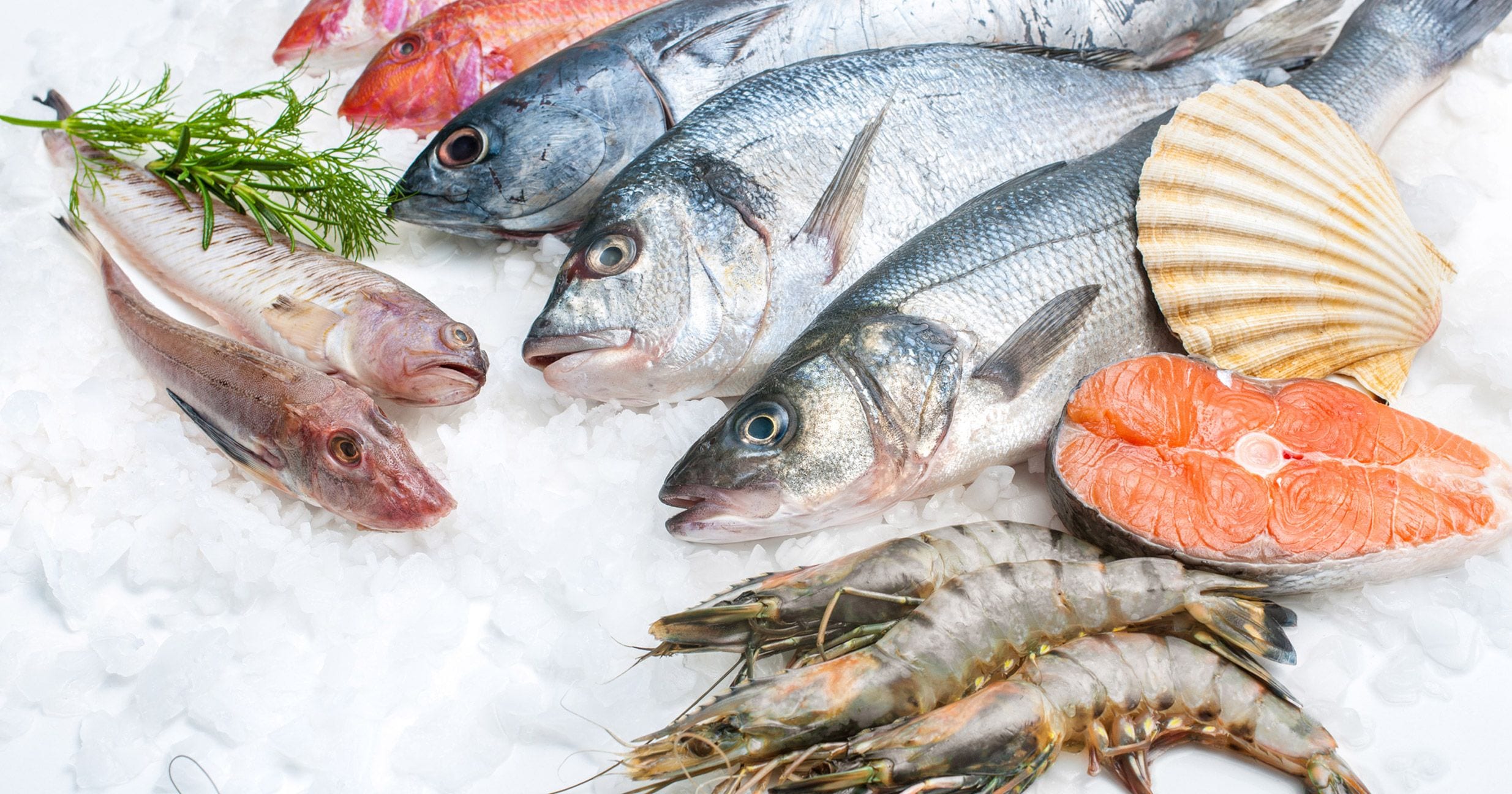 Diet for Age Related Macular Degeneration – Eat More Fish!