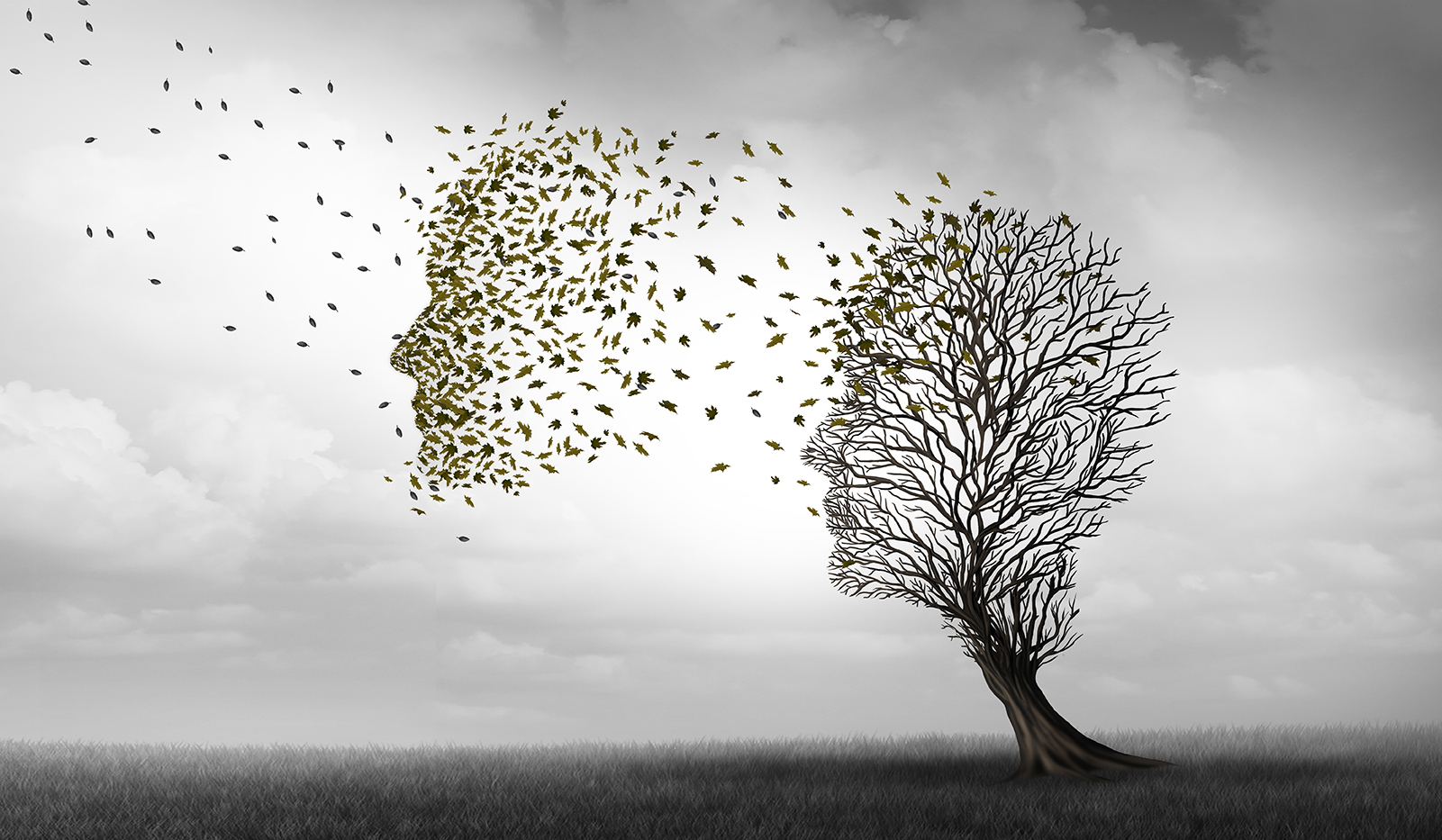 Dr. Cooper’s Recommendations for Alzheimer’s Disease Prevention