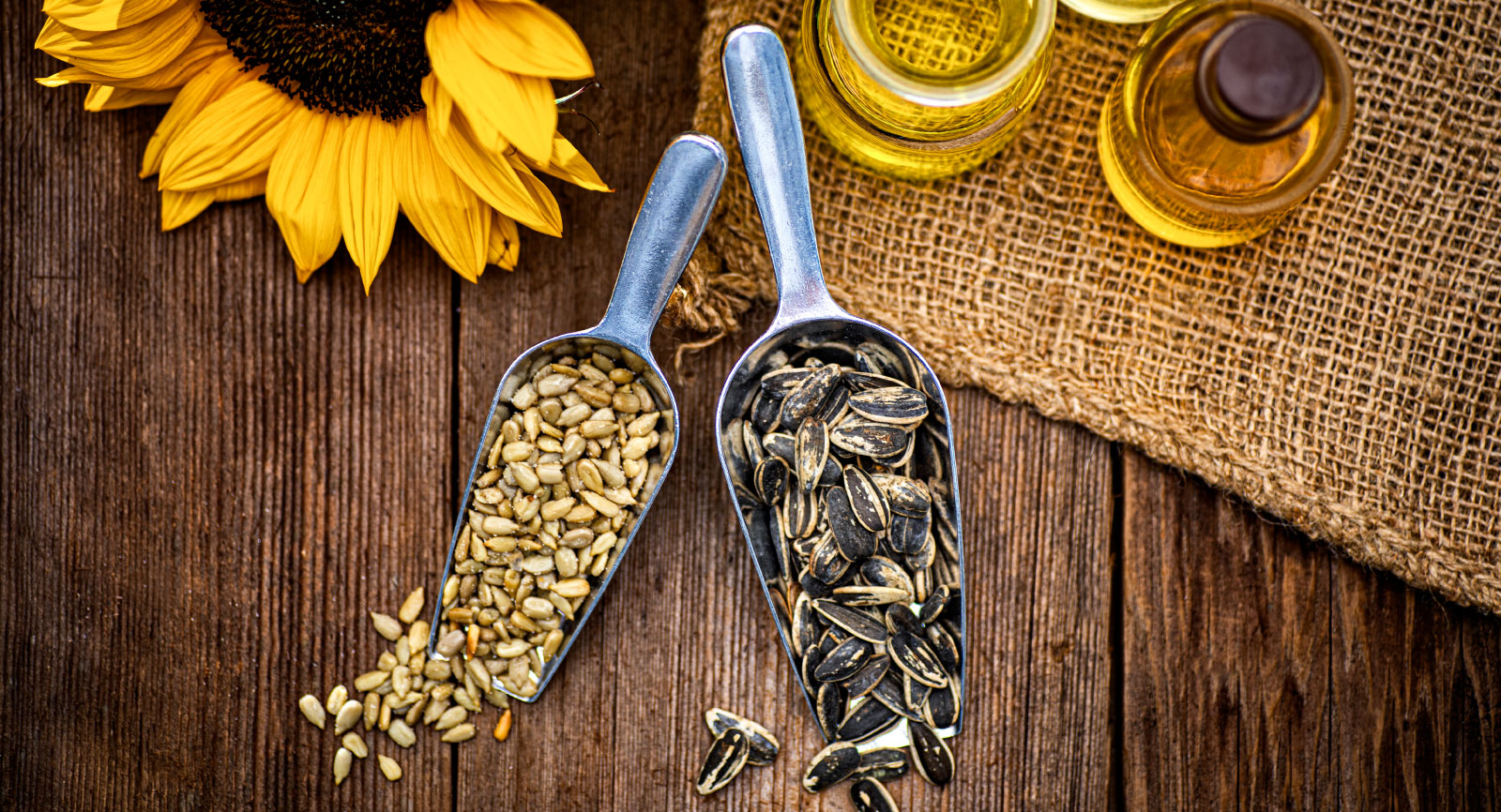 The Seed Oil Debate
